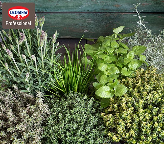 Restaurantul viitorului